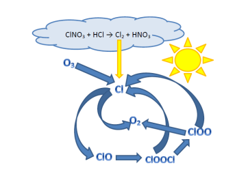 Figure 2: Illustration of the chemical reactions responsible for polar ozone depletion due to Polar Stratospheric Clouds (PSCs).